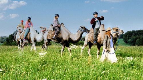 Die Goldfische filmas žiurėti online