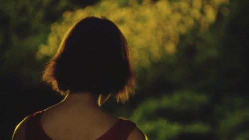 Sunflower filmas žiurėti online