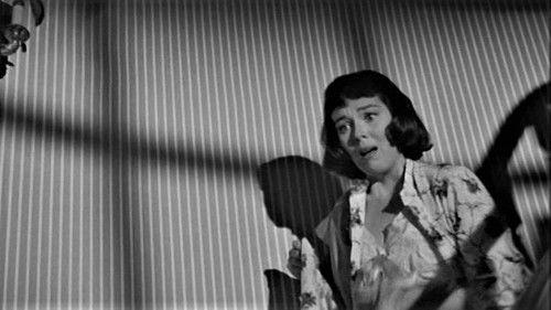 That Woman Opposite filmas žiurėti online