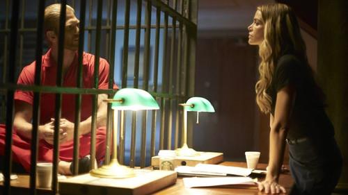 American Violence filmas žiurėti online