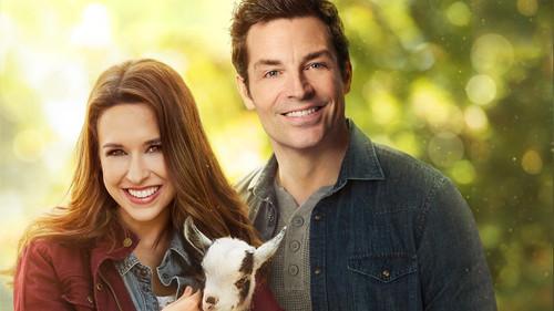 All of My Heart: Inn Love filmas žiurėti online