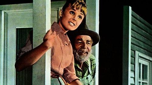 Tammy and the Millionaire filmas žiurėti online