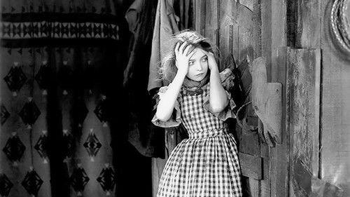 The Wind filmas žiurėti online