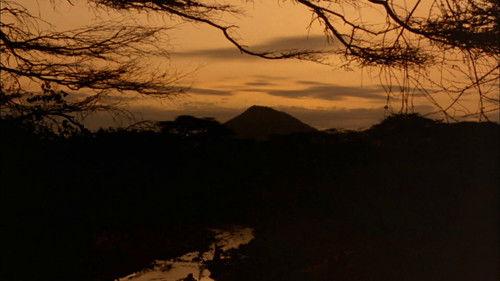 Face to Face filmas žiurėti online