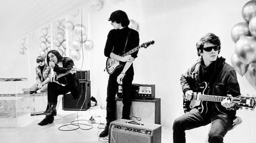 The Velvet Underground filmas žiurėti online