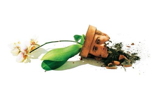 Adaptacija filmas žiurėti online