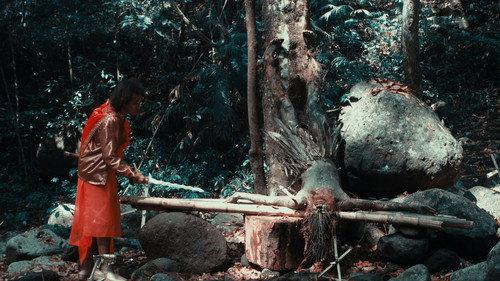 Desaparadiso filmas žiurėti online