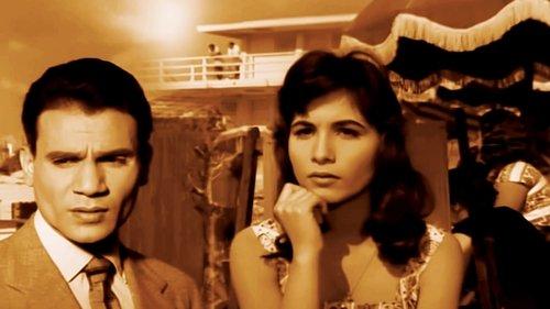 The Girls in Summer filmas žiurėti online