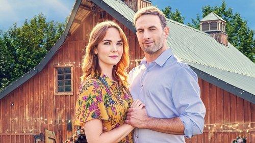 A Whirlwind Wedding filmas žiurėti online