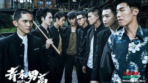 Fist & Faith filmas žiurėti online