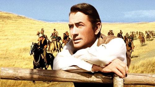 Didžioji šalis filmas žiurėti online