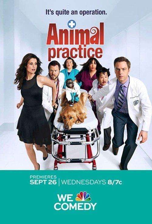 Animal Practice filmas online