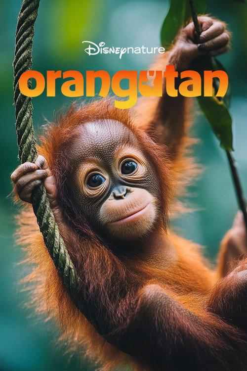 Orangutan filmas online