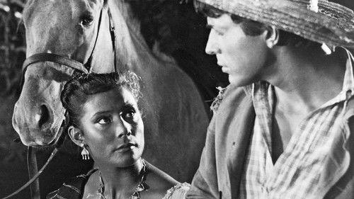 Мексиканец filmas žiurėti online