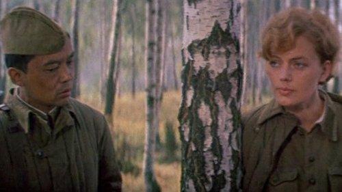 A Secret Walk in the Woods filmas žiurėti online