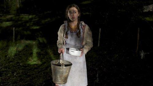 Der Verdingbub filmas žiurėti online