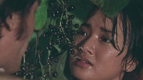 Parrot Sang with Her Own Body filmas žiurėti online