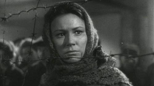 Konstantin Zaslonov filmas žiurėti online