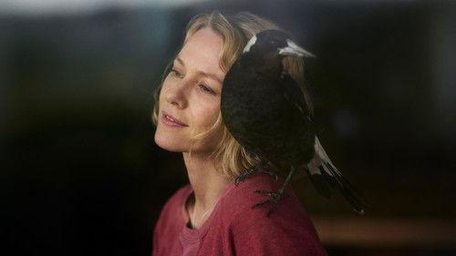 Pingvinas Blumas filmas žiurėti online