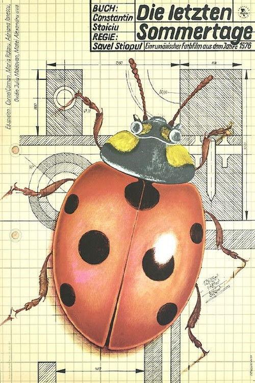 Last Days of Summer filmas online