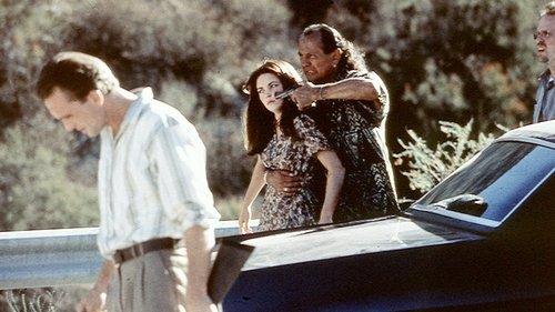 Black Cat Run filmas žiurėti online