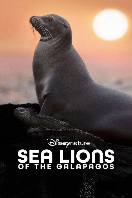 Sea Lions of the Galapagos filmas online