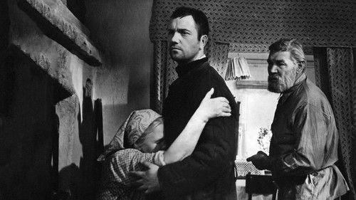 Your Son and Brother filmas žiurėti online