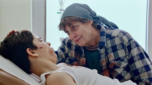 Sandstern filmas žiurėti online