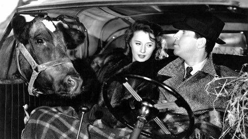 Remember the Night filmas žiurėti online