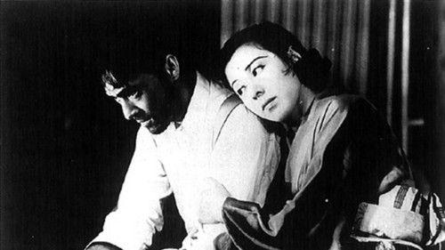 Until the Day We Meet Again filmas žiurėti online