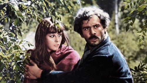 The Bandit filmas žiurėti online