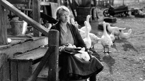 The Goose Woman filmas žiurėti online