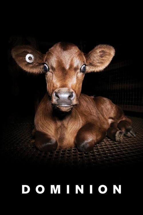 Dominion filmas online