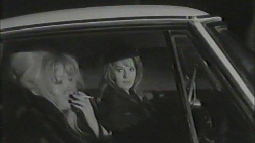 Night of Violence filmas žiurėti online