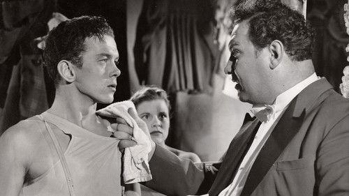 Cirkus Fandango filmas žiurėti online