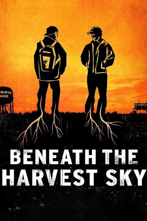 Beneath the Harvest Sky filmas online