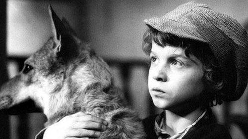 Freckled Max and the Spooks filmas žiurėti online