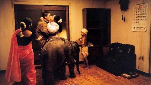 Oasis filmas žiurėti online