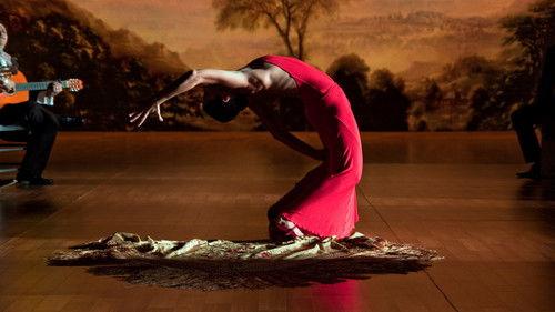 Flamenco Flamenco filmas žiurėti online