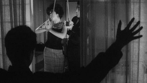 Day-Dream filmas žiurėti online