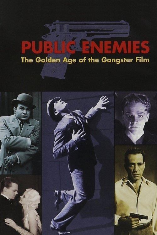 Public Enemies: The Golden Age of the Gangster Film filmas online