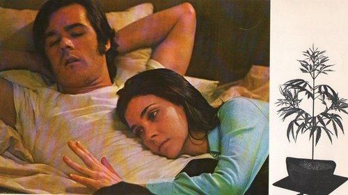 Dealing: Or the Berkeley-to-Boston Forty-Brick Lost-Bag Blues filmas žiurėti online