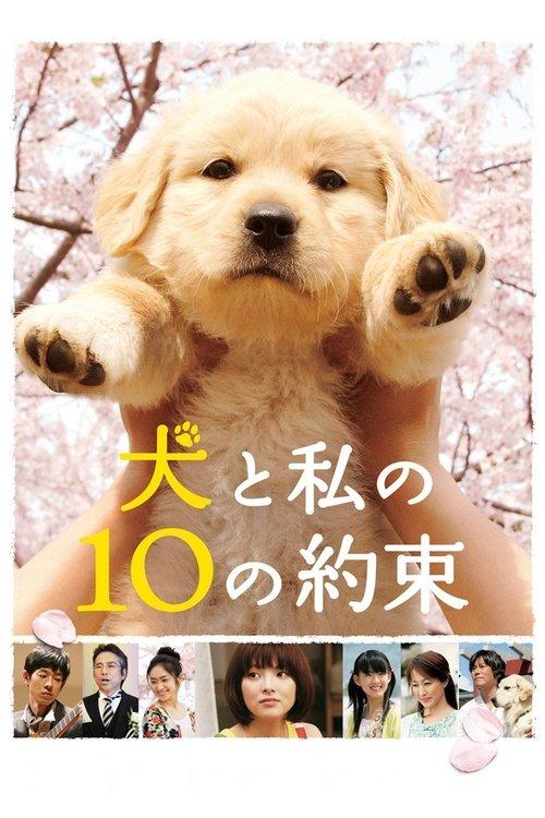 10 Promises to My Dog filmas online