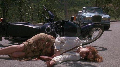 Year of the Comet filmas žiurėti online