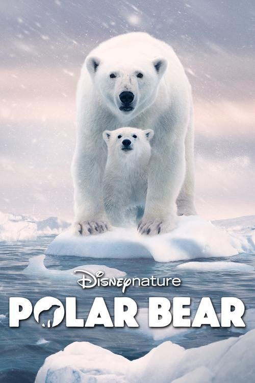 Polar Bear filmas online