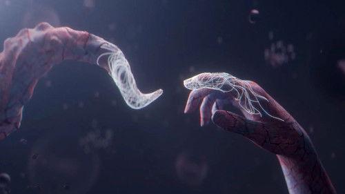 LIFE BEYOND: Visions of Alien Life filmas žiurėti online