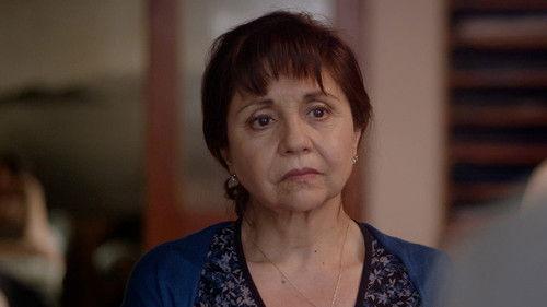 Enigma filmas žiurėti online