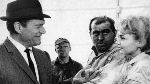 Let the Shooters Shoot filmas žiurėti online