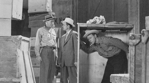 Bruce Gentry filmas žiurėti online