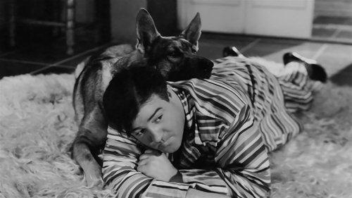 Rio Rita filmas žiurėti online